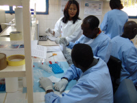 Formation au CERMES (Centre de Recherche Médicale et Sanitaire) au Niger
