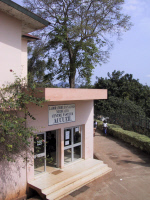 Centre Pasteur du Cameroun