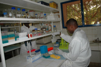 Laboratoire du CERMES en 2005