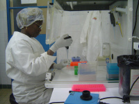 Laboratoire au CERMES Niger en 2005
