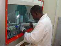 Laboratoire du CERMES au Niger