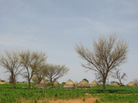 Village de Banizoumbou au Niger