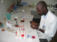 Laboratoire à l'Institut Pasteur de Côte d'Ivoire en 2006