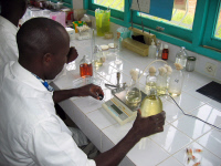 Laboratoire à l'Institut Pasteur de Côte d'Ivoire en 2006
