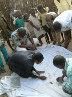 Collecte de moustiques Anopheles à Tessaoua au Niger en 2003