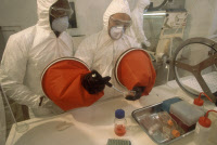 Laboratoire de haute sécurité P3 à l'Institut Pasteur Bangui en 1987.