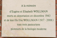 Inauguration plaque Wollman le 23 septembre 2009