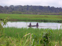 Paysage typique des zones endémiques pour l'ulcère de Buruli au Cameroun