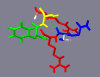 Structure 3D de l'Opiorphine