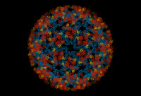 Structure tridimensionnelle des protéines de surface du virus du chikungunya