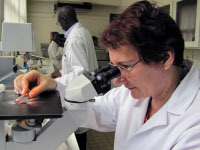 CNR des Enterovirus de l'Institut Pasteur de Bangui en 2011