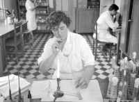 Photos du personnel et des laboratoires du service des vaccins, 1943-1953.