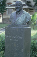 Buste d'Albert Calmette dans les jardins de l'Institut Pasteur d'Hô-Chi-Minh-Ville.
