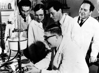 Jacques Monod, Georges Cohen et des chercheurs américains en stage dans le Service de biochimie cellulaire, vers 1956.