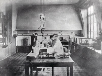 Service de chimie organique avec au centre Gabriel Bertrand v.1910