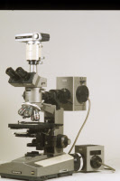 Microscope du service photo binoculaire