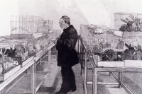 Louis Pasteur prenant des notes sur les lapins inoculés contre la rage vers 1884