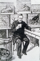 Louis Pasteur notant ses expériences sur les animaux inoculés par la rage vers 1884