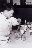 Préparation du vaccin antirabique vers 1960
