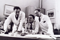 Les 3 prix Nobel de Médecine de 1965 : François Jacob, Jacques Monod et André Lwoff le 16 octobre 1965