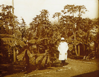 Constant Mathis dans les jardins de l'Institut Pasteur de Dakar vers 1925.