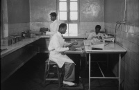 Service de la vaccine de l'Institut Pasteur de Madagascar