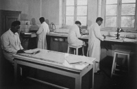 Examen des frottis dans le laboratoire de la peste à l'Institut Pasteur de Madagascar