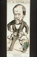 Caricature : Pasteur séparant deux "enragés"