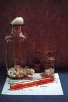 Instruments utilisés par Louis Pasteur lors de ses études sur la rage