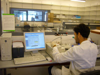 Laboratoire à l'Institut Pasteur de Montevideo