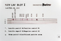 Test de détection du VIH (NEW LAV BLOT I) en 1989