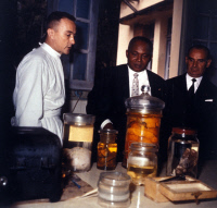 M. Brygoo dans son laboratoire de l'Institut Pasteur de Madagascar
