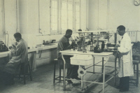Laboratoire d'analyses de l'Institut Pasteur de Madagascar