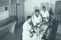 Laboratoire vétérinaire de l'Institut Pasteur de Madagascar en 1946
