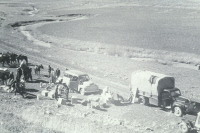 Mission sur la peste au Kurdistan vers 1960