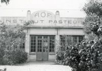 Institut Pasteur de l'Afrique Occidentale Française