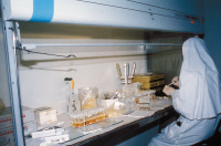 Laboratoire de l'Institut Pasteur d'Iran en 1996