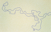 Plasmide isolé de Salmonella enterica sérotype panama