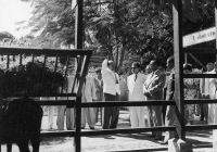 Inauguration Institut Pasteur du Cambodge à Phnom Penh en 1953