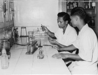 Album : "IP Phnom Penh 1955"