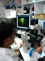 Laboratoire de recherche Institut Pasteur de Corée