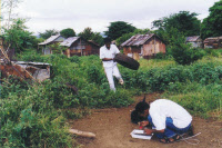 Récolte de moustiques Anopheles à Madagascar