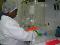 Laboratoire au CERMES, Niger