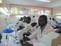 Formation à l'Institut Pasteur de Bangui en 2010