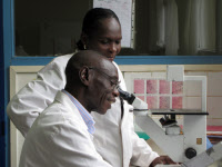 Chercheurs à l'Institut Pasteur de Bangui en 2012