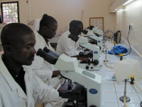 Cours de bacilloscopie à l'Institut Pasteur de Bangui en 2012