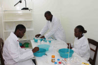 Institut Pasteur de Bangui - Laboratoire d'entomologie en 2012