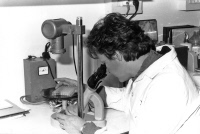 Françoise Barré-Sinoussi au microscope en 1987