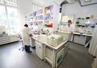 Laboratoire - Unité de Pathogénie Microbienne Moléculaire