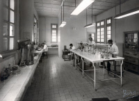 Peste, Madagascar, laboratoire, 1957.